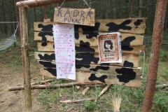 HORDA-17