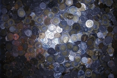 DSCN1558