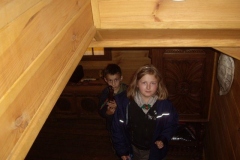 IMGP0331