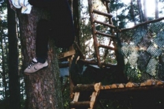 album2piotrek