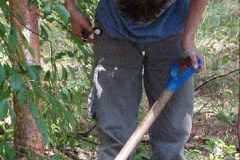 32